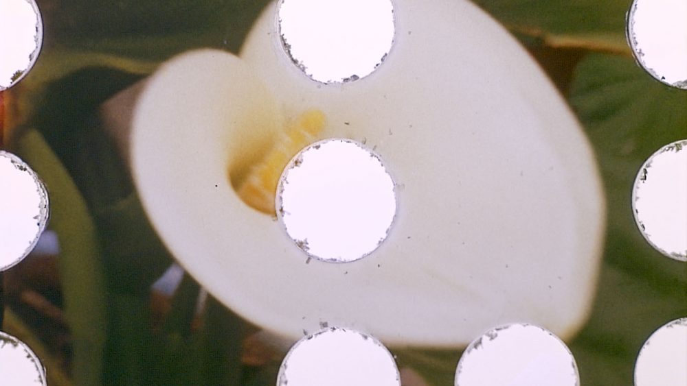 Ainhoa, yo no soy esa