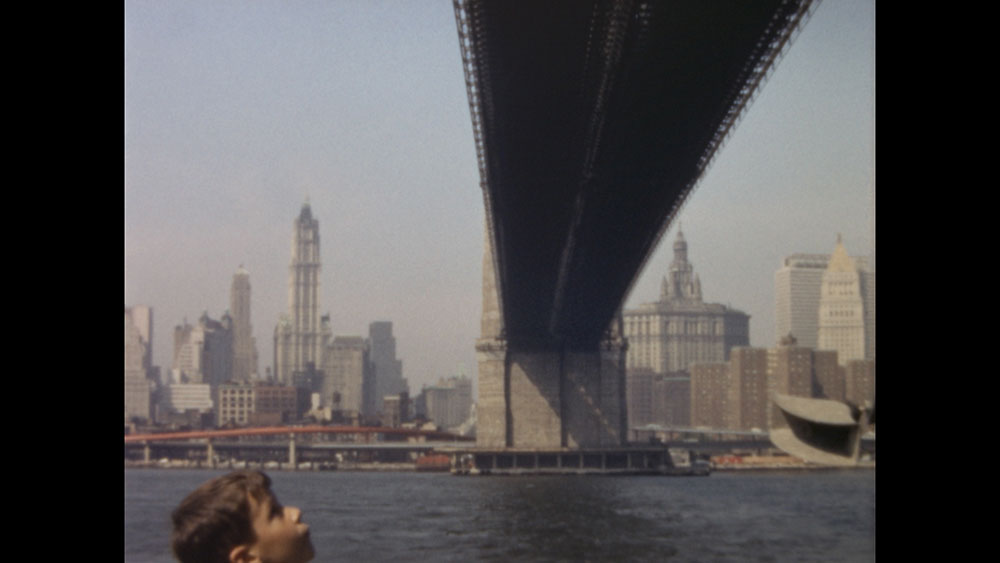 Un paseo por New York Harbor